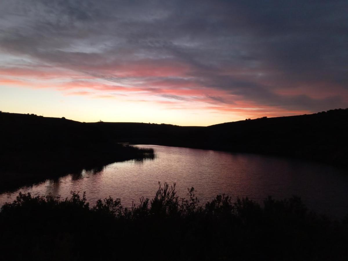 Fijnbosch Game Lodge Jeffreys Bay Eksteriør bilde